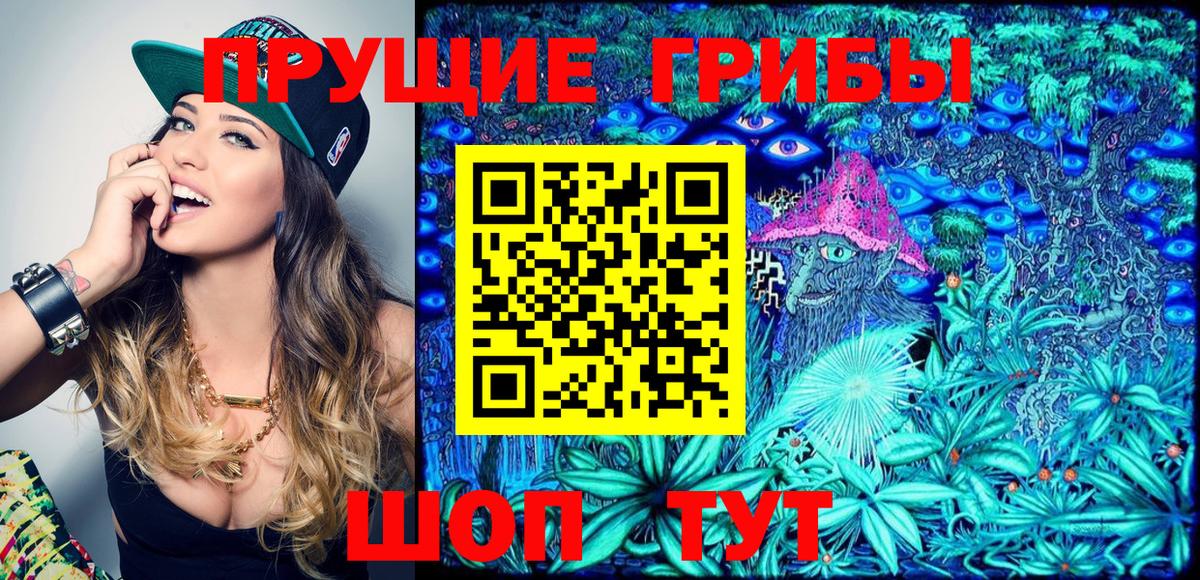 Галлюциногенные грибы прущие грибы  Вход с VPN  Серов 